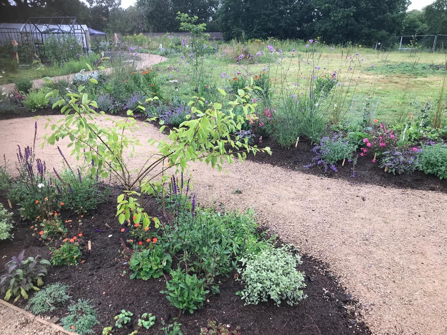 Farncombe Community Garden 2