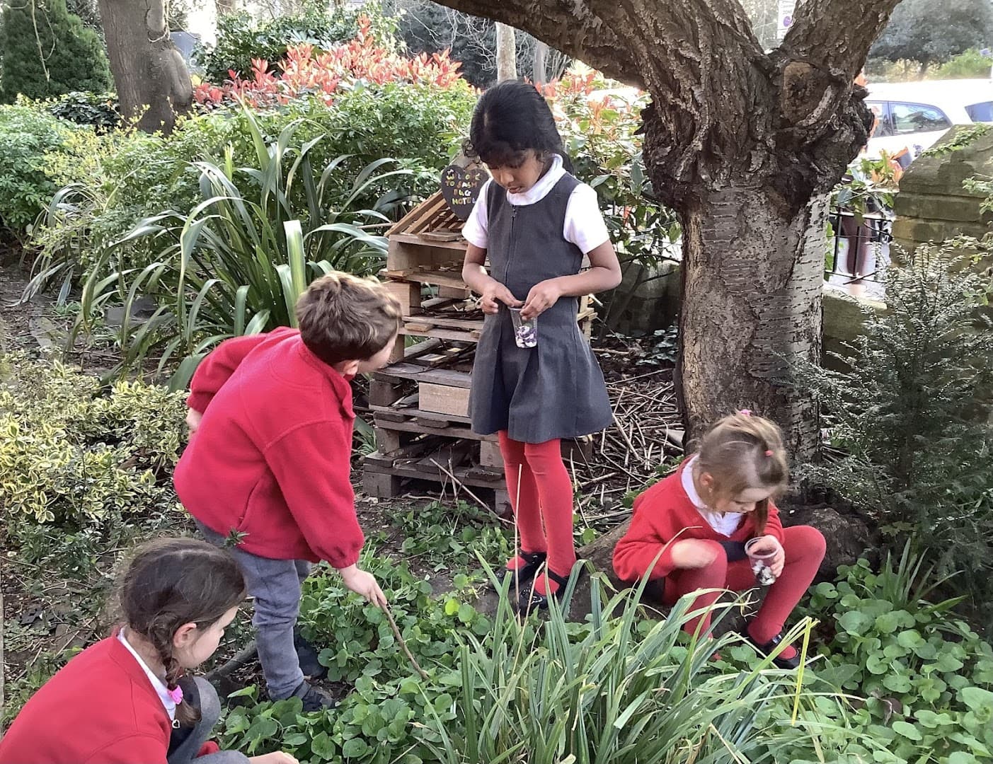 Dicky Birds After School Club in Surbiton (St Andrews Hall) 5