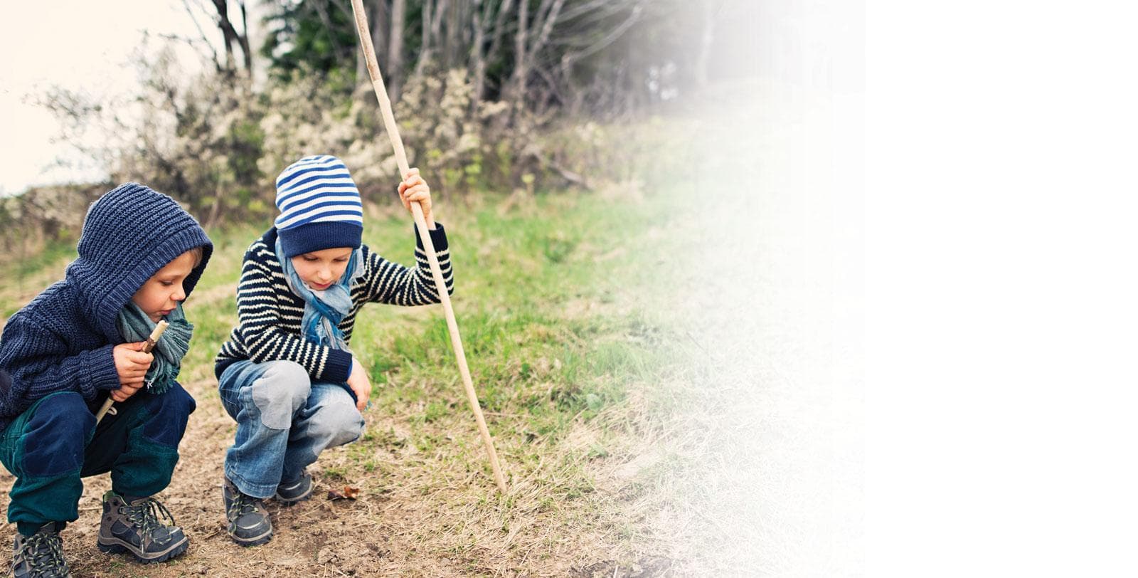 Friends Forest Nursery Shere 5