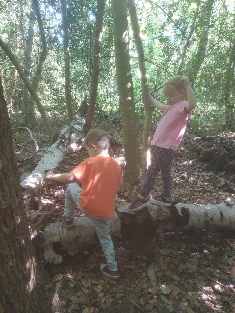 Roaming Wild Forest School 8