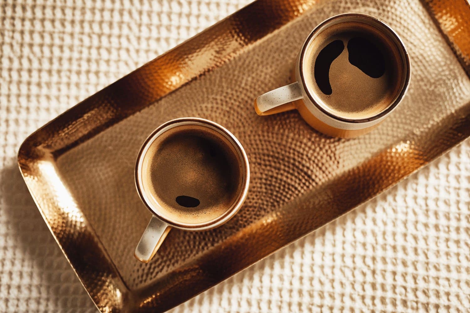 Puccino's Head Office 3