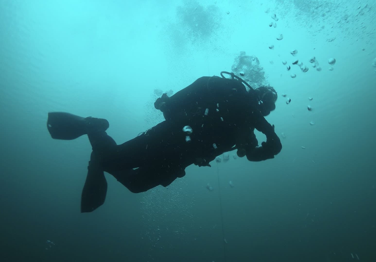 Scuba Dolphins Diving Club - Aldershot BSAC 5