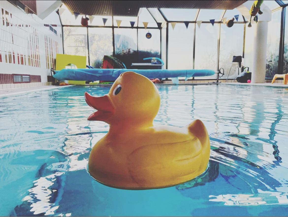 Rubba Duckies Swim School 5