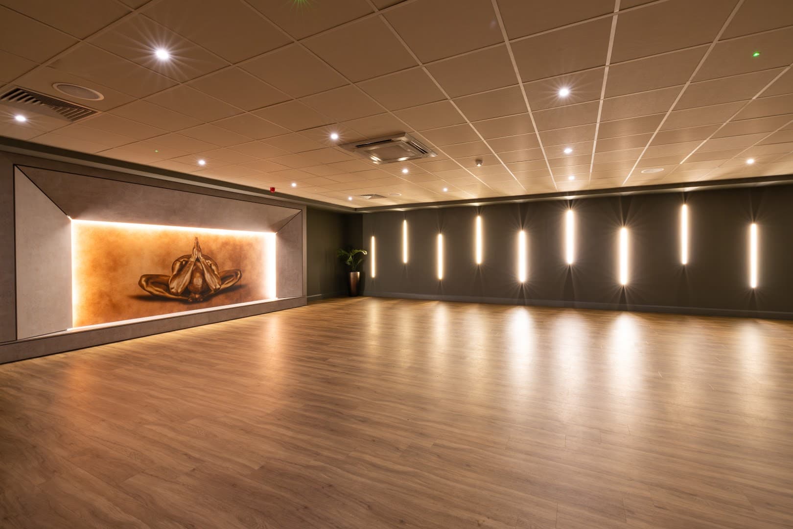 David Lloyd Brooklands 2