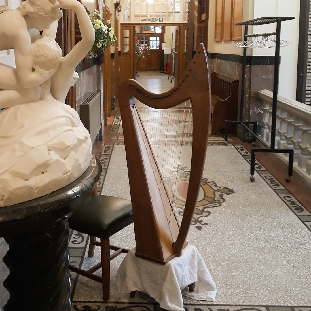 Mark Levin Harpist 3