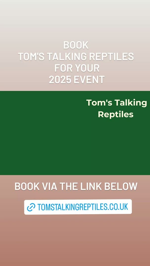 Tom's Talking Reptiles 2