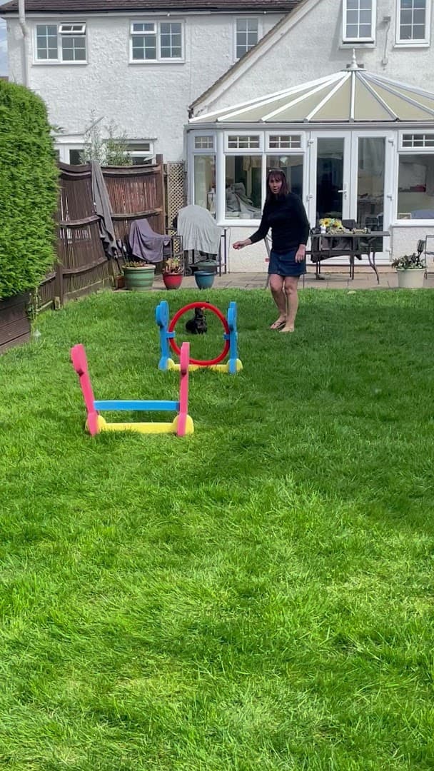 Small Paw Adventures 2