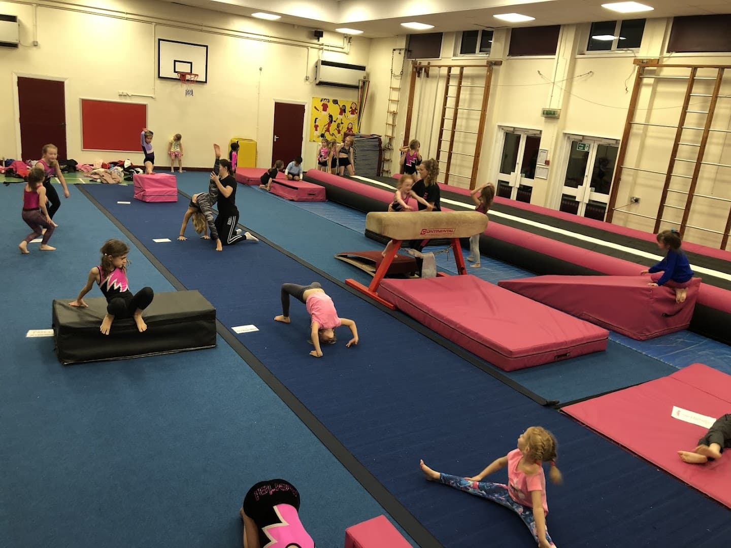 Aerial Tumbling Club