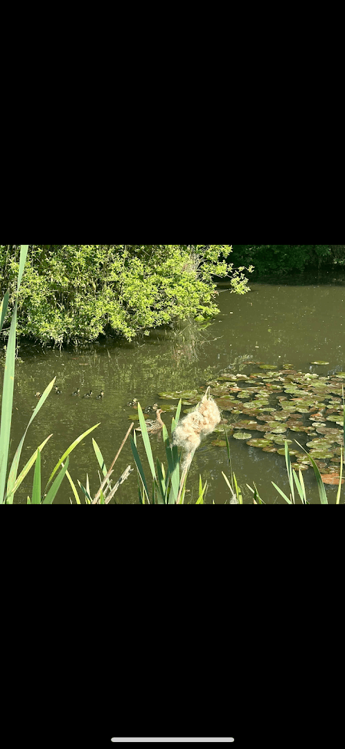 Wood Street Nursery and Forest School 8