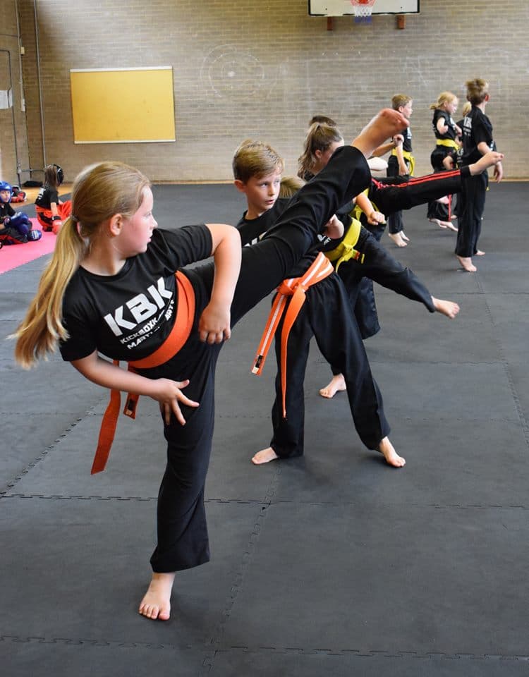 Kickboxkarate Martial Arts 4