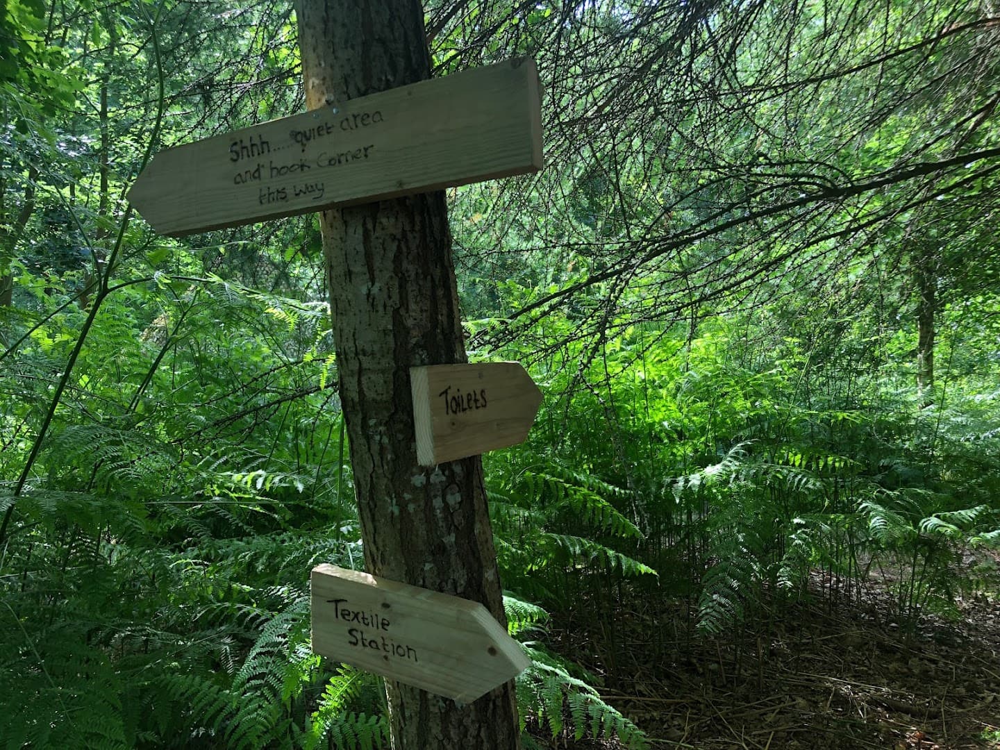 Surrey Hills Forest School 2