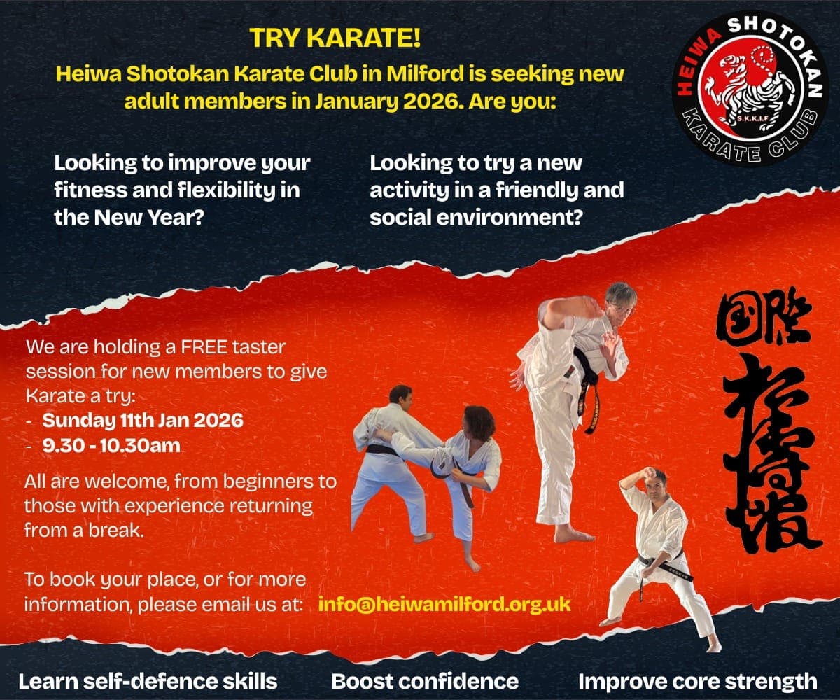 Heiwa Milford Karate Club 2