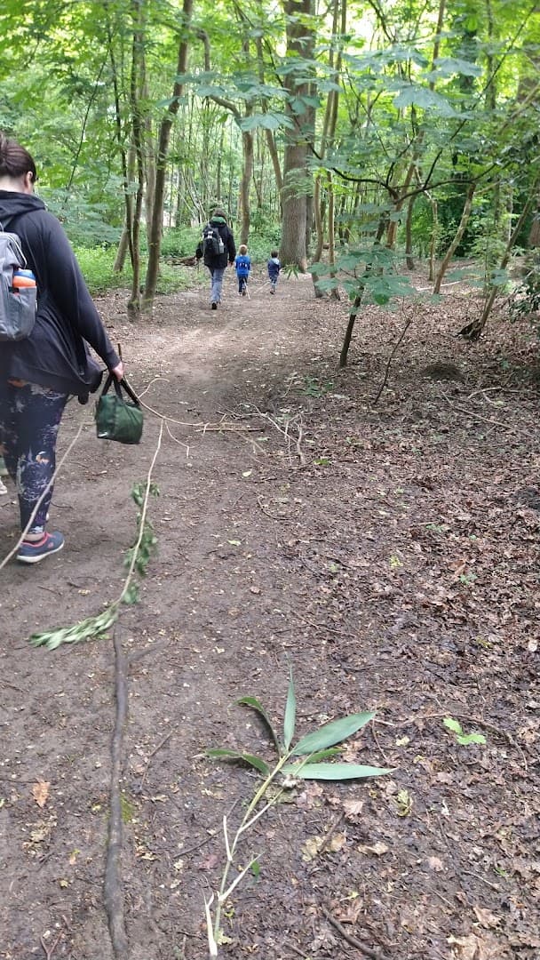 Roaming Wild Forest School 4
