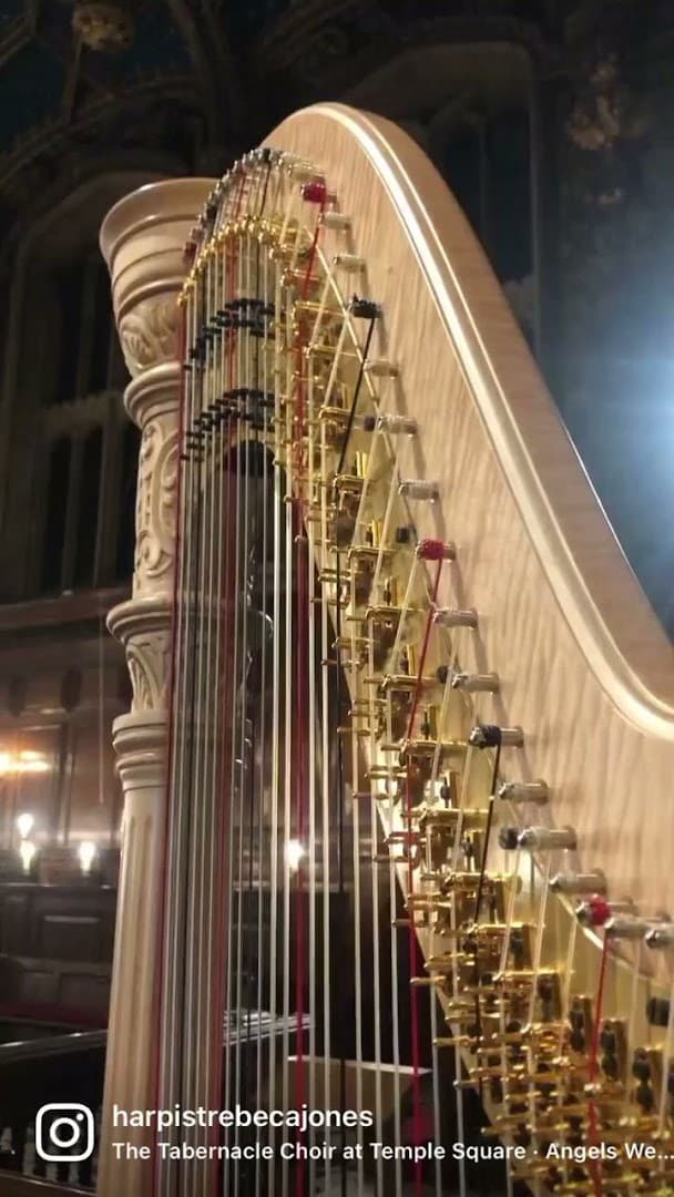 Harpist - Rebeca Jones 2