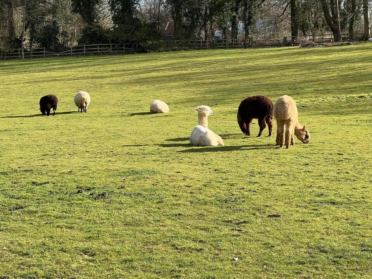 Learning Barn on Manor Farm