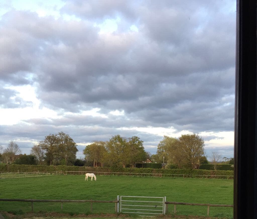 TLC Equestrian Livery Stables