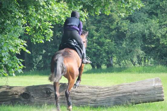 Kingsmead Equestrian Centre