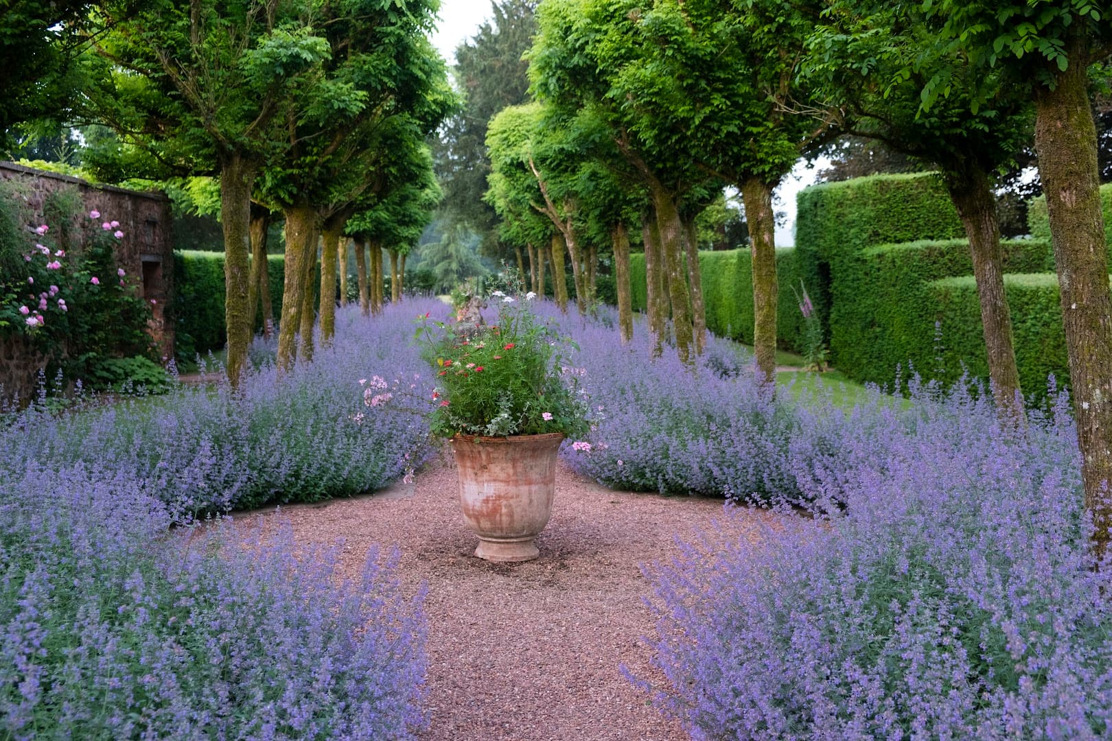 National Garden Scheme