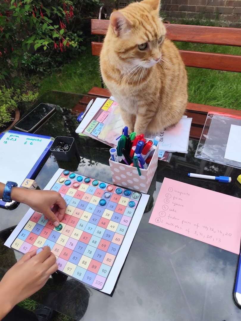 Level Up Maths Tutoring 6