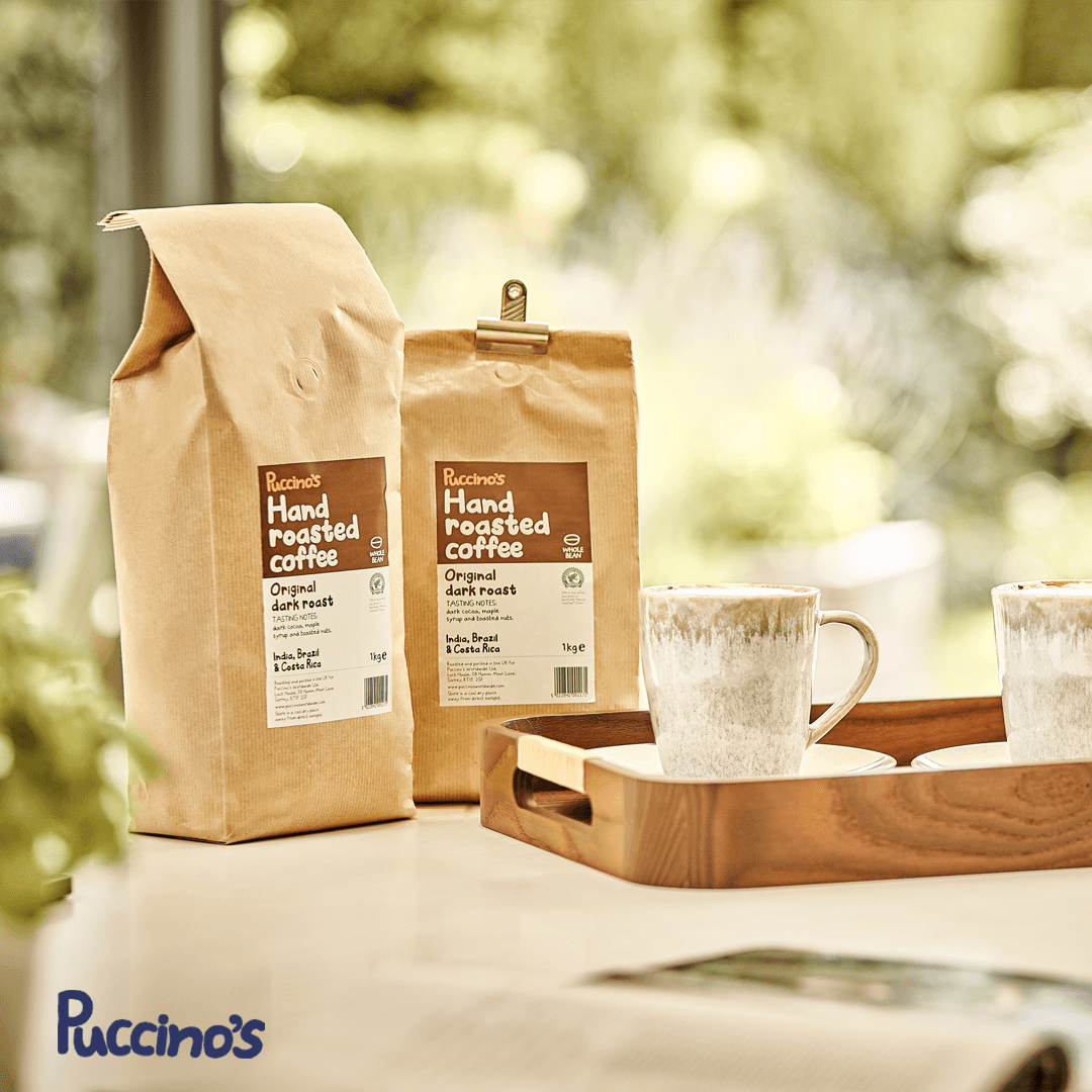 Puccino's Head Office 5