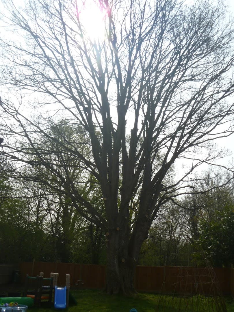 Wee One's Day Nursery & Pre-School 4