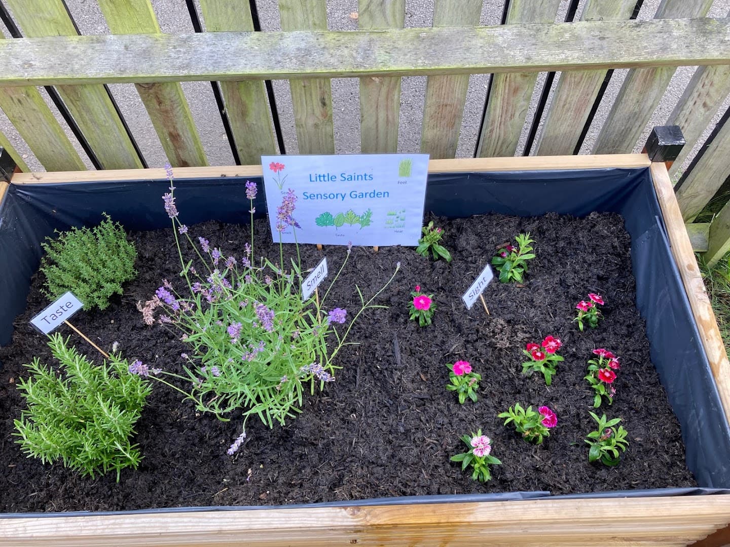 Little Saints Pre-School 4