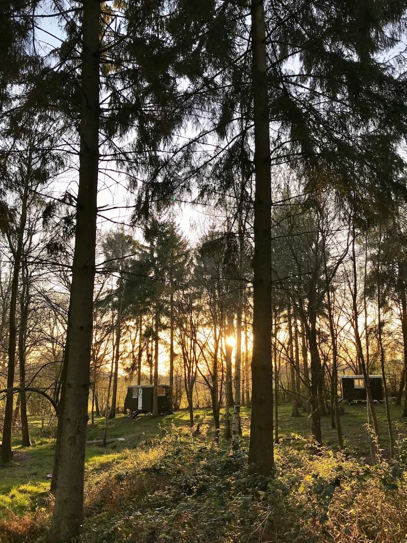 The Green Escape - Glamping 4