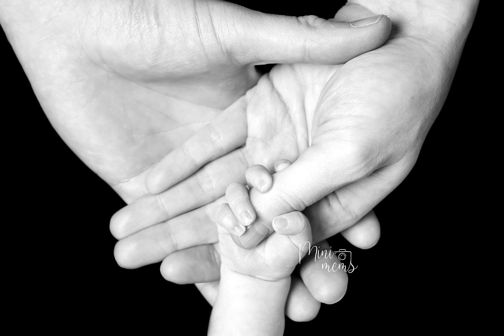 Minimems - Newborn & Baby Specialist Photographer