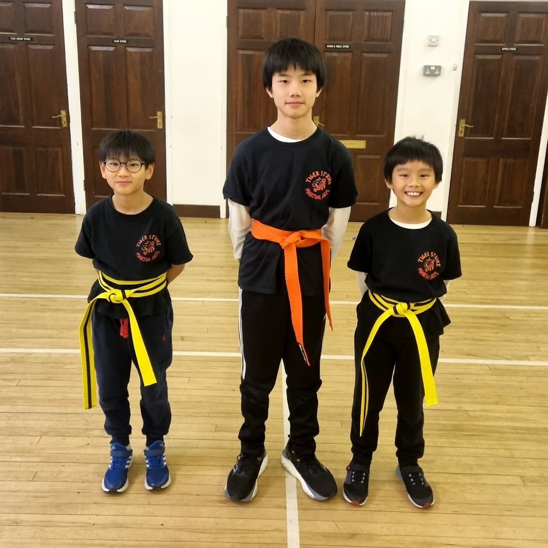 Tiger Strike Martial Arts 8