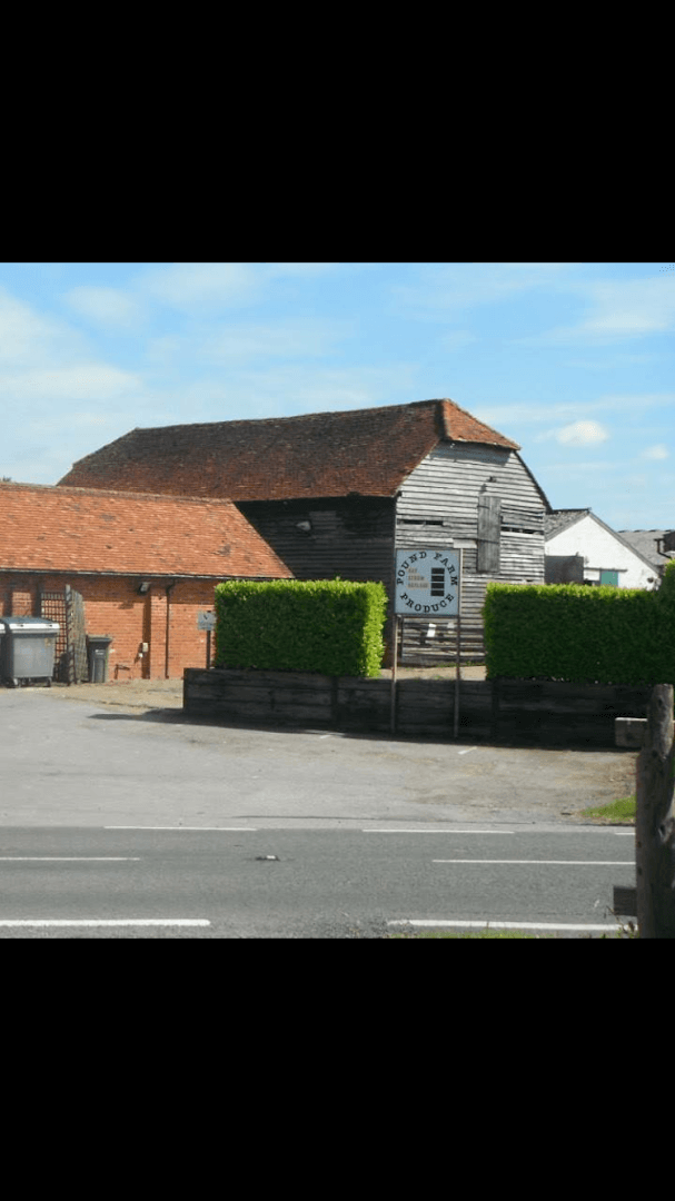 TLC Equestrian Livery Stables 5