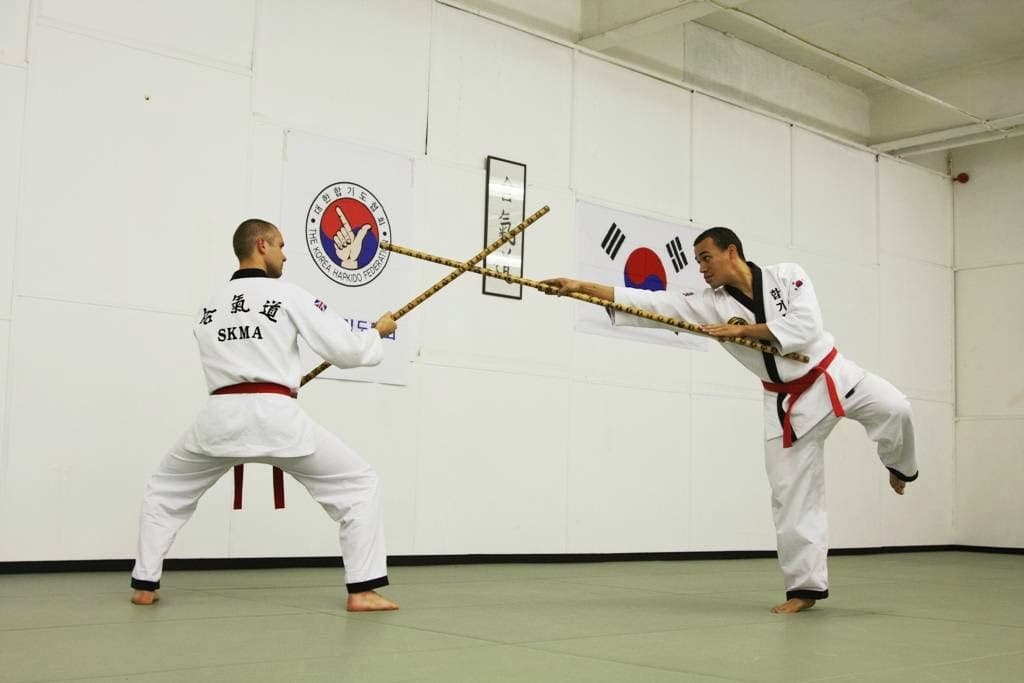 SKMA Hapkido (School of Korean Martial Arts) 5