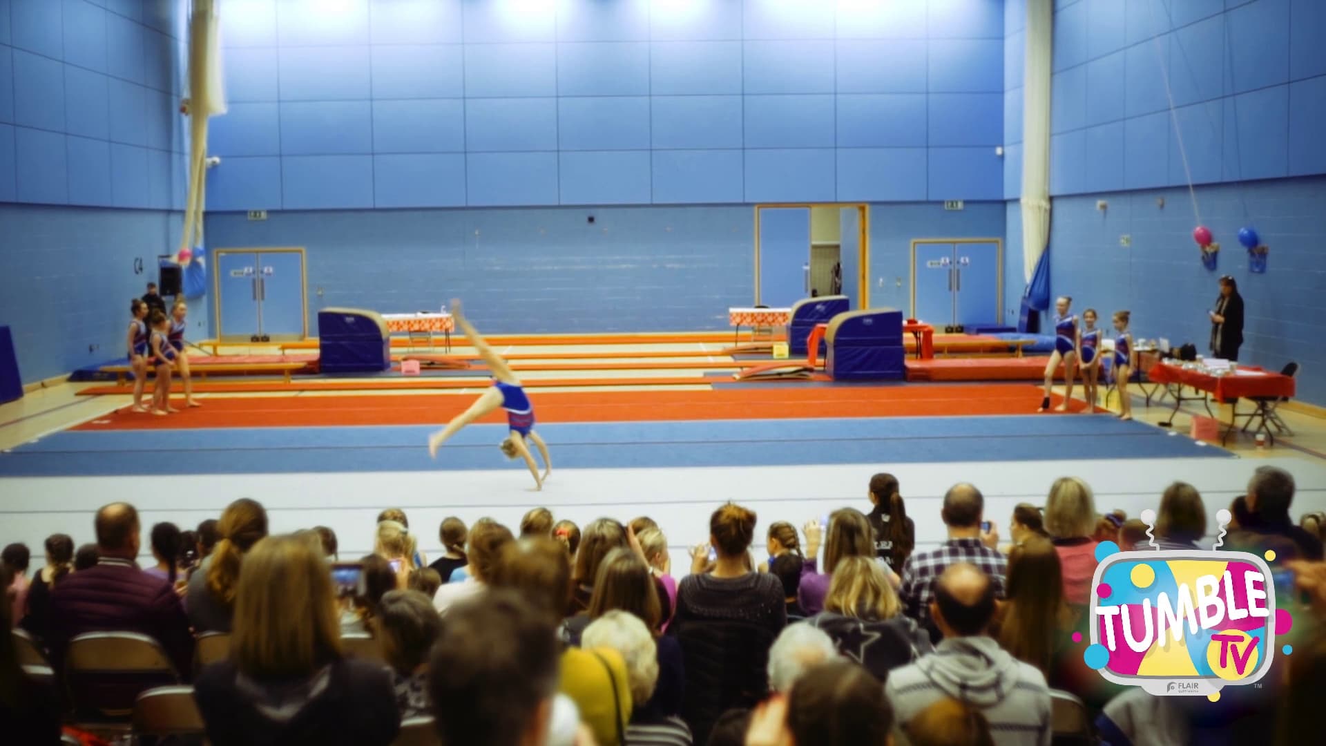 Flair Gymnastics : WOKING 2