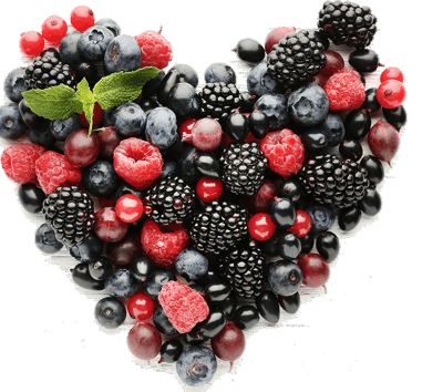 Dietitian Fit - Nutritionist & Dietitian 7