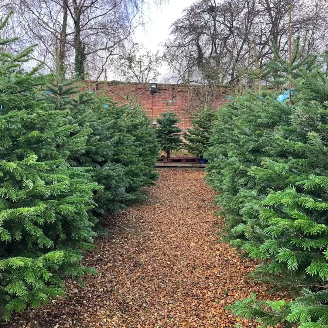 Edwins Garden Centre, Clandon Park