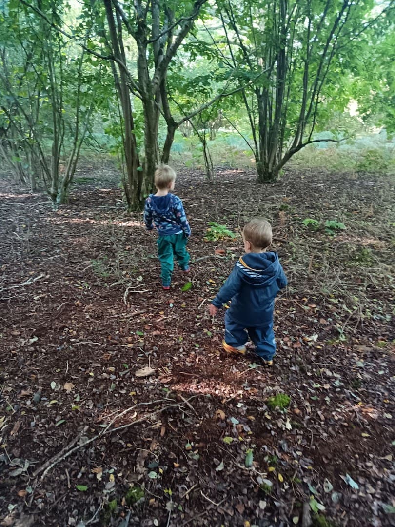 Wood Street Nursery and Forest School 7