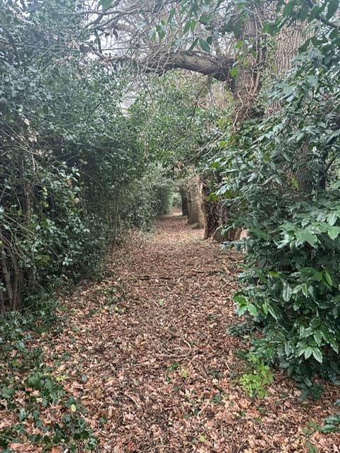 Burwood Forest School 4