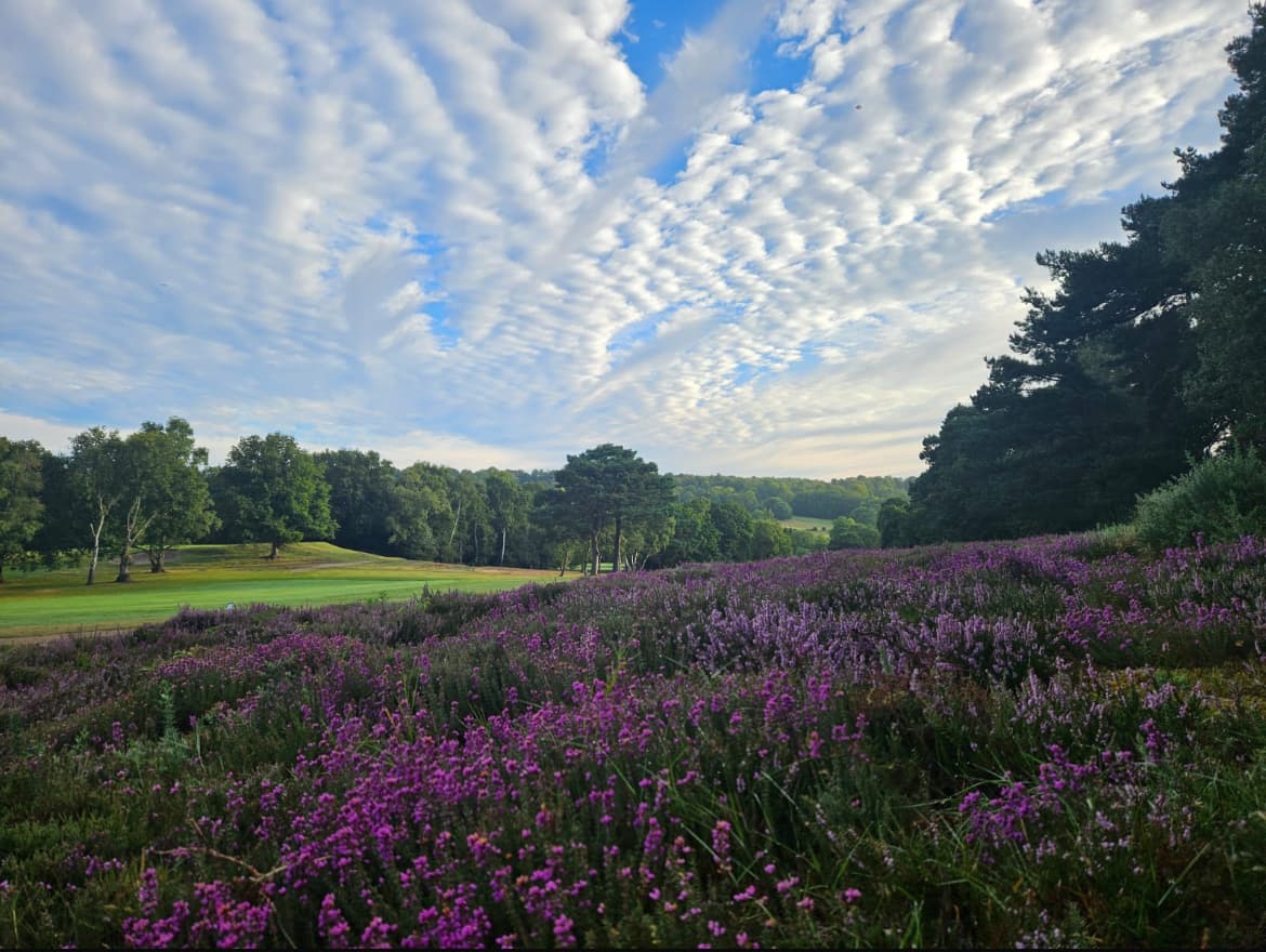 Puttenham Golf Club 3