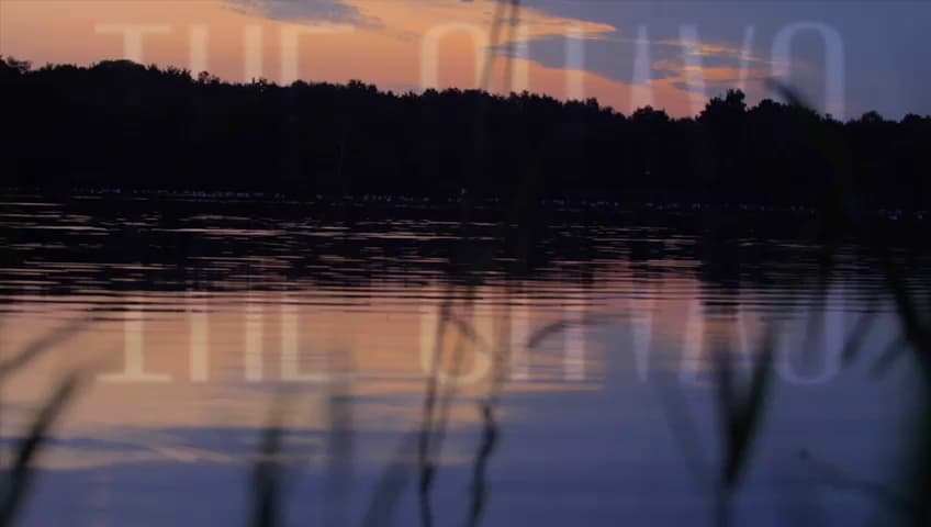 Quay Swim Open Water Swimming 2