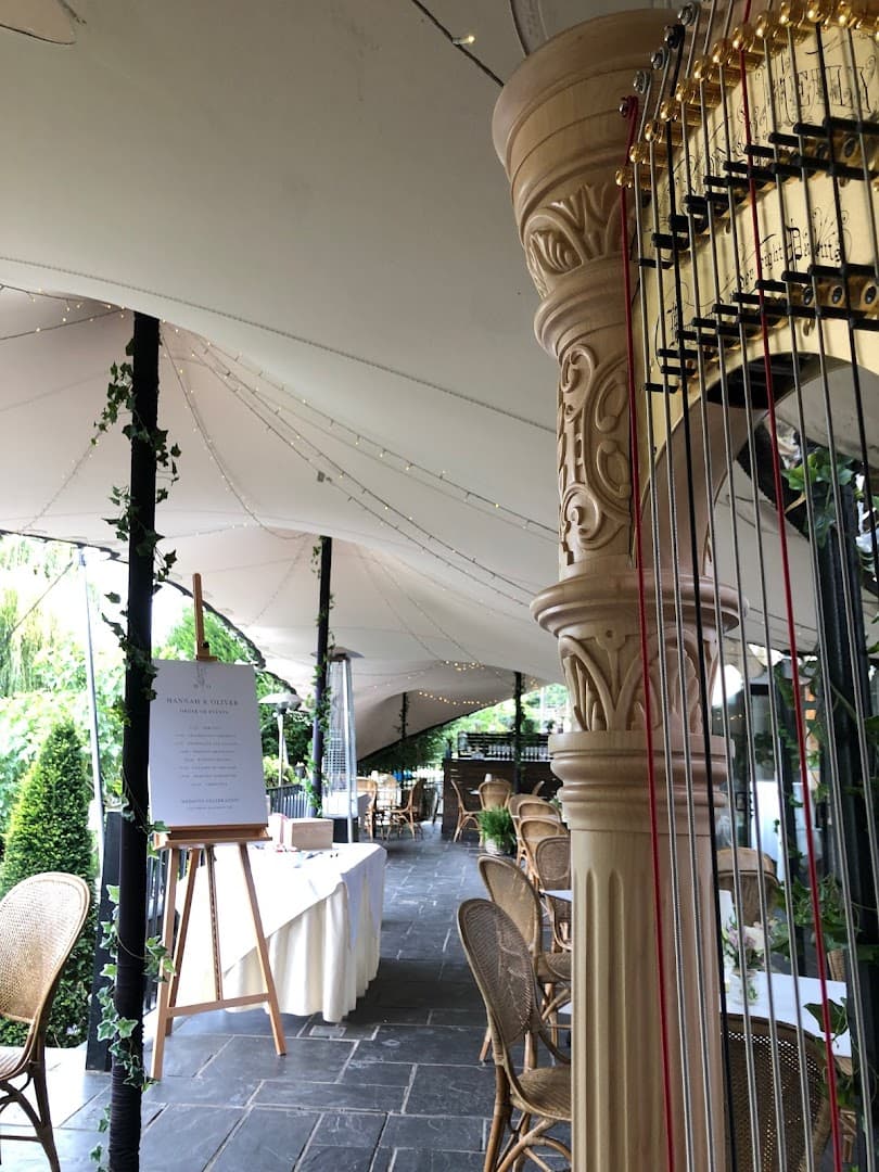 Harpist - Rebeca Jones 4