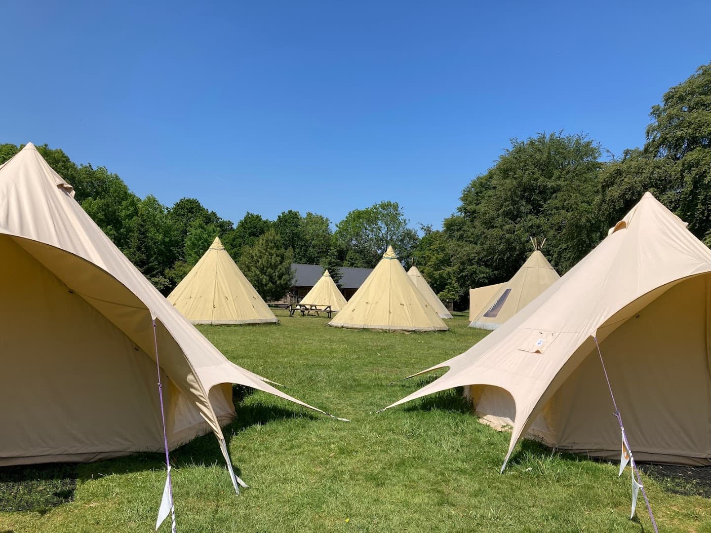 High Ashurst - Surrey Outdoor Learning and Development 3