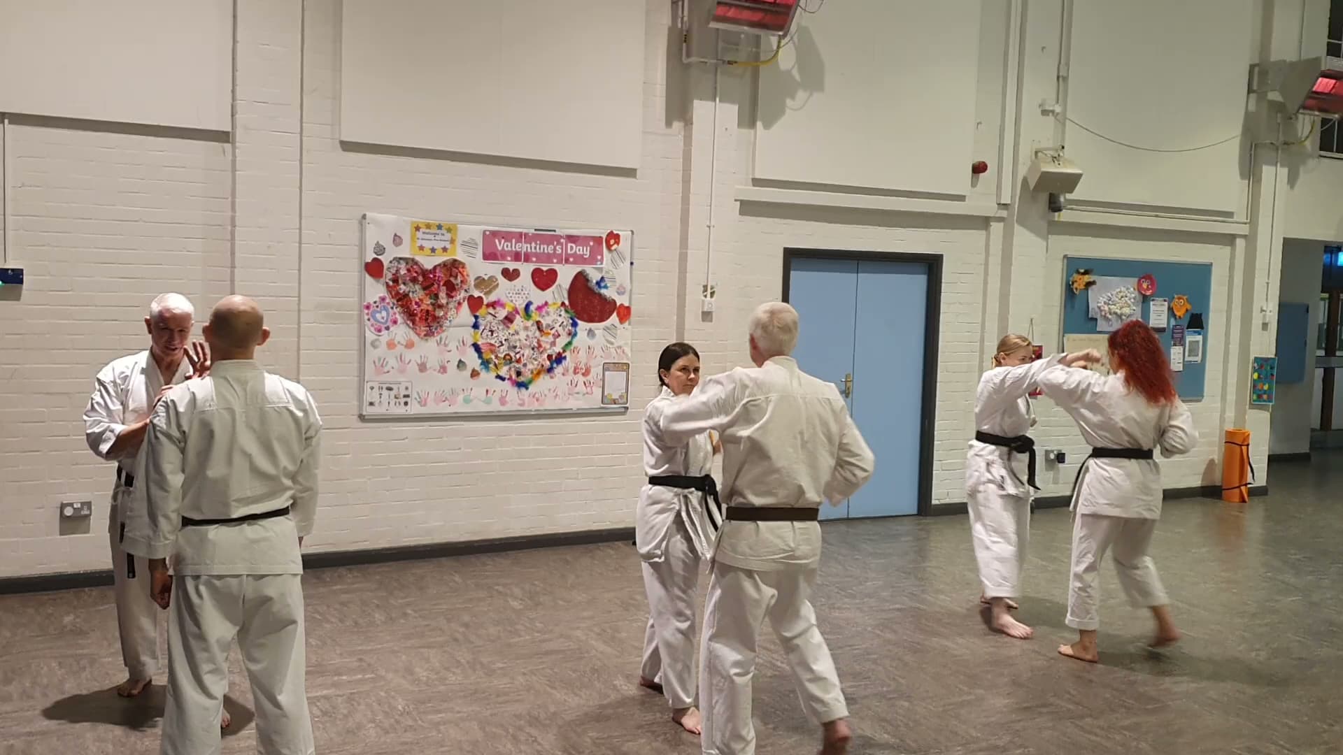 Meibukan Bu-Jutsu Ryu Karate Do 2