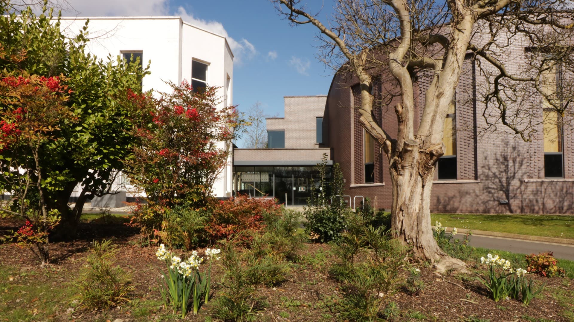 Department of Drama, Theatre and Dance 2