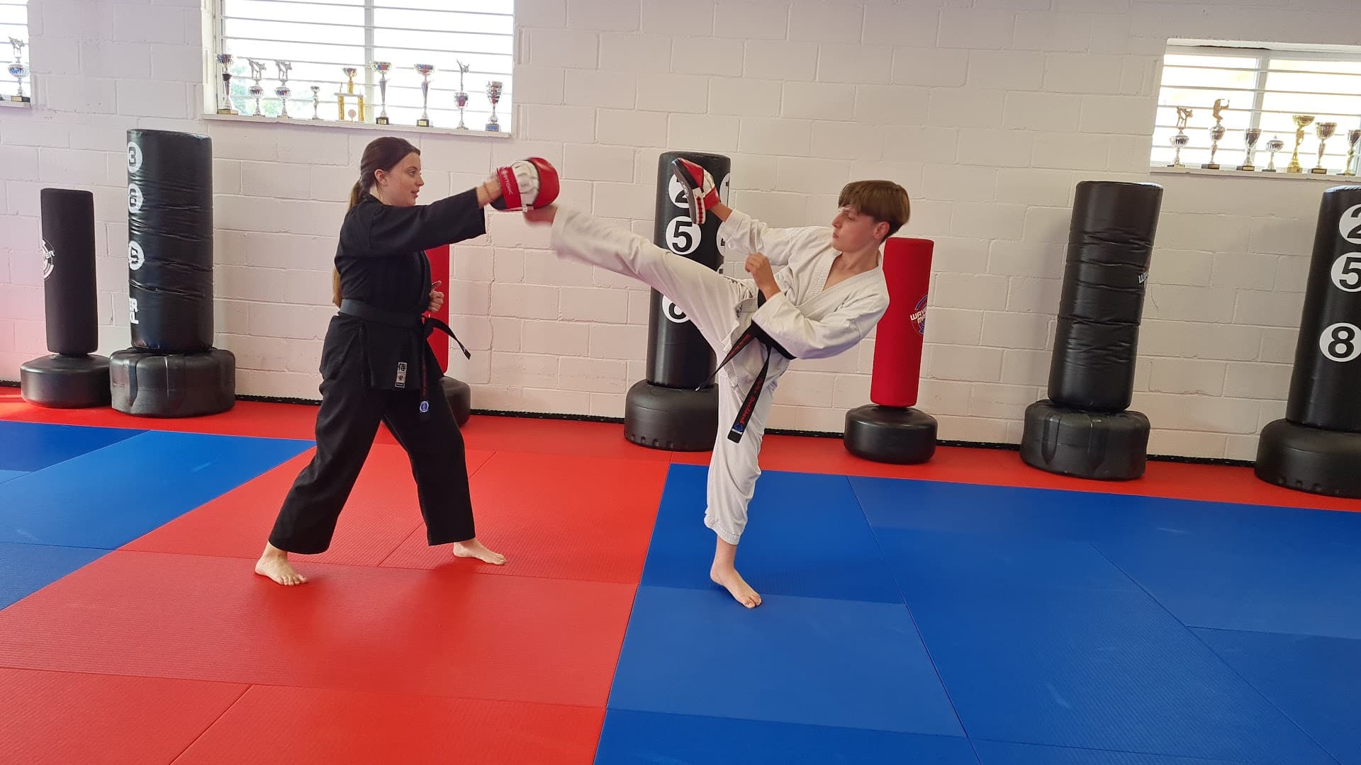 Shin Gi Tai Martial Arts Academy Kingston 5