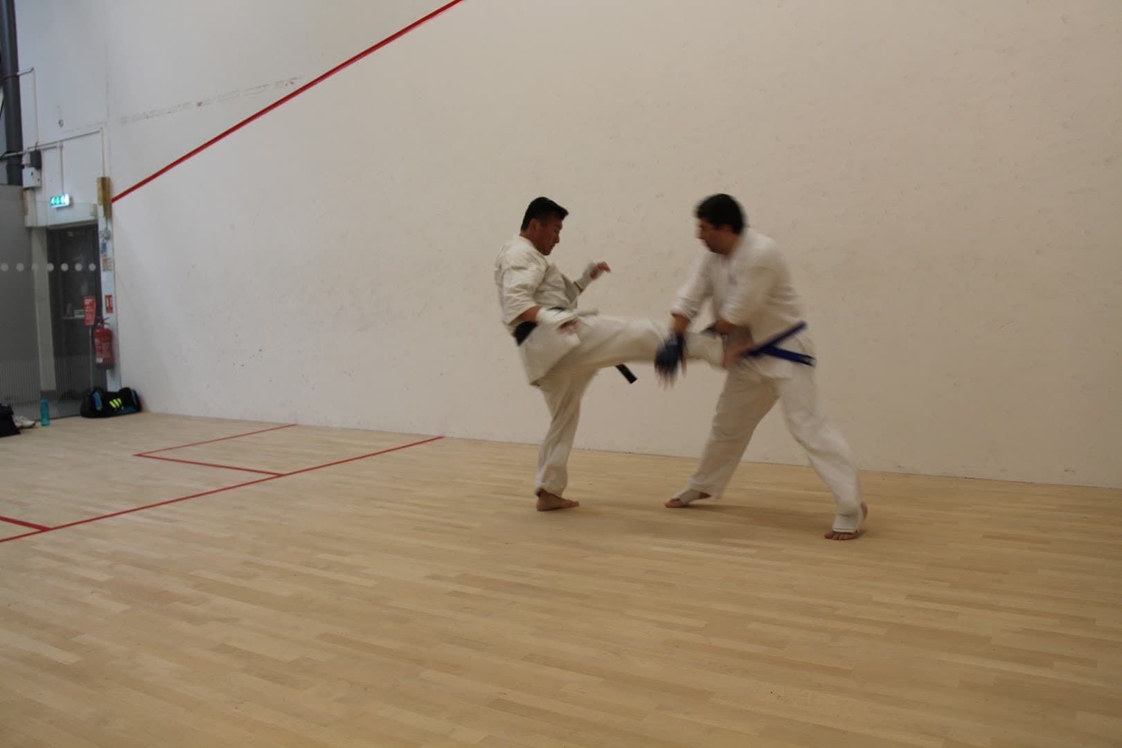 Seijitsu Kyokushinkai Karate 2