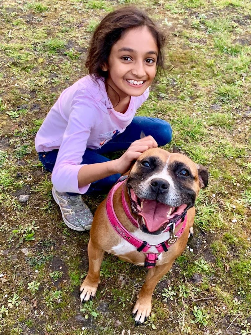 Rescue Remedies Dog Rescue