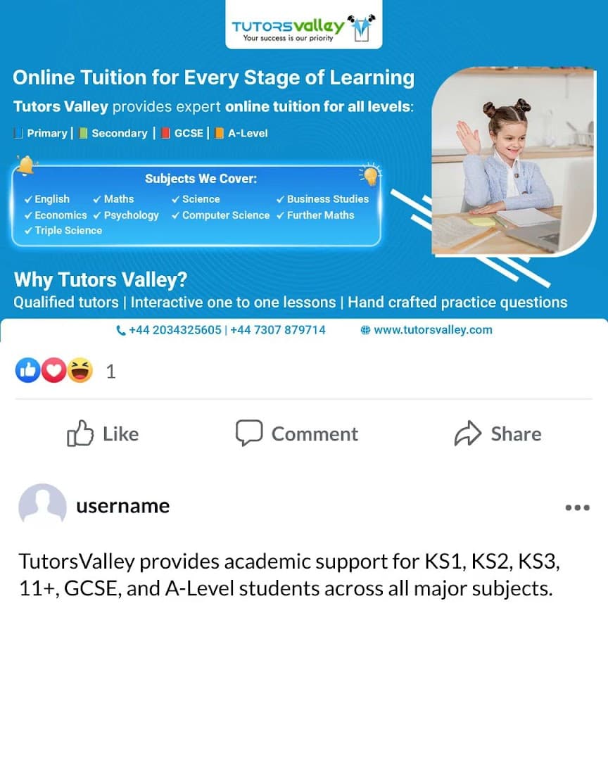 TutorsValley LTD 6