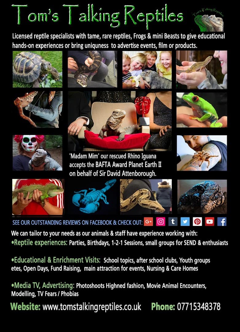 Tom's Talking Reptiles