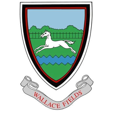 Wallace Fields Infant School 2