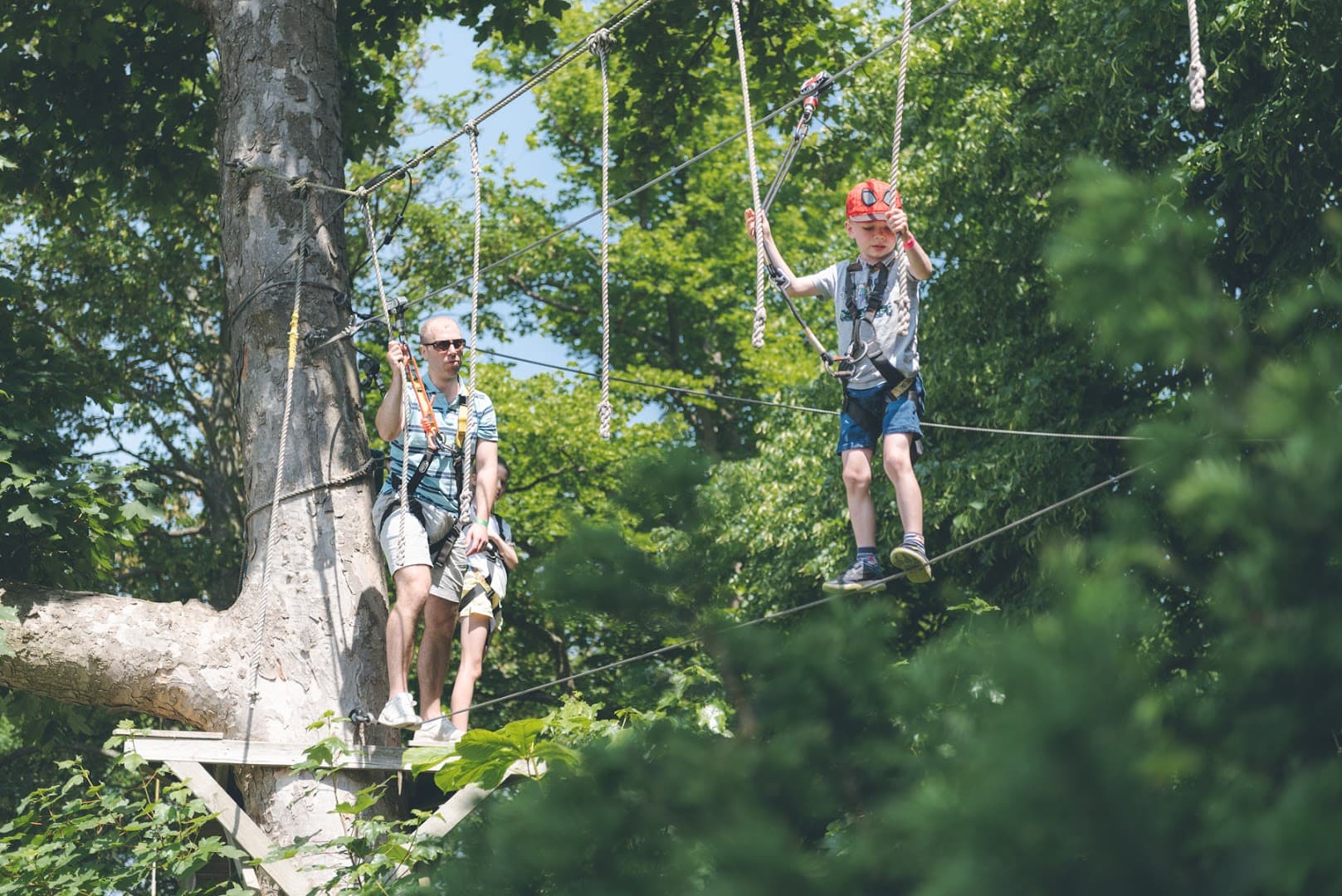 Wild Wood Adventure 2