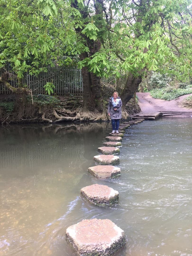 The Sling Consultancy - Surrey 7